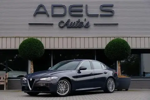 Used ALFA ROMEO GIULIA Petrol 2019 Ad 