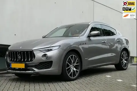 Used MASERATI LEVANTE Petrol 2017 Ad 