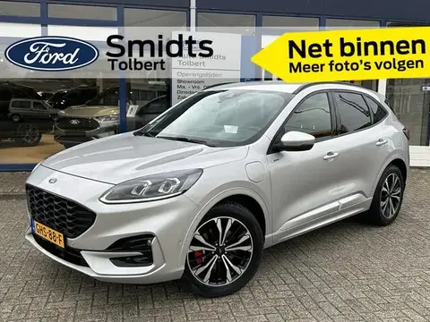 Used FORD KUGA Hybrid 2020 Ad 