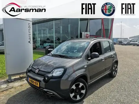 Annonce FIAT PANDA Hybride 2020 d'occasion 