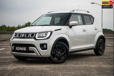 Used SUZUKI IGNIS Hybrid 2023 Ad 