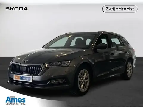 Used SKODA OCTAVIA Petrol 2023 Ad 