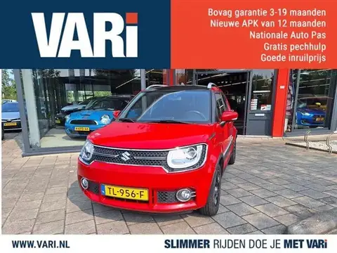 Used SUZUKI IGNIS Petrol 2018 Ad 