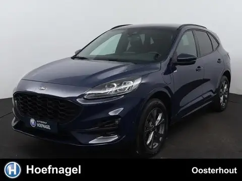 Annonce FORD KUGA Hybride 2023 d'occasion 