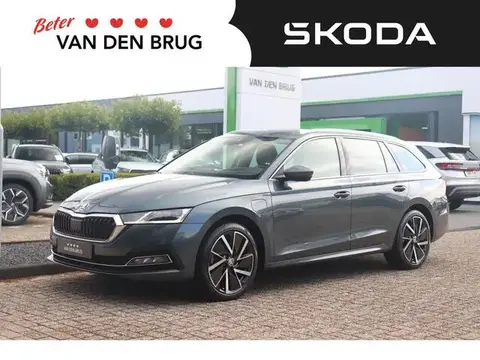 Annonce SKODA OCTAVIA Hybride 2021 d'occasion 