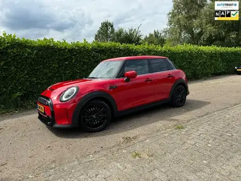 Used MINI COOPER Petrol 2023 Ad 