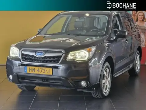 Used SUBARU FORESTER Petrol 2015 Ad 