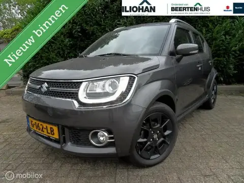 Used SUZUKI IGNIS Petrol 2019 Ad 