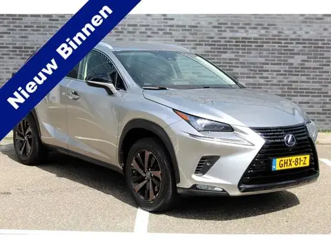 Used LEXUS NX Hybrid 2020 Ad 