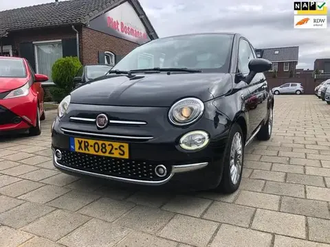 Used FIAT 500 Petrol 2017 Ad 