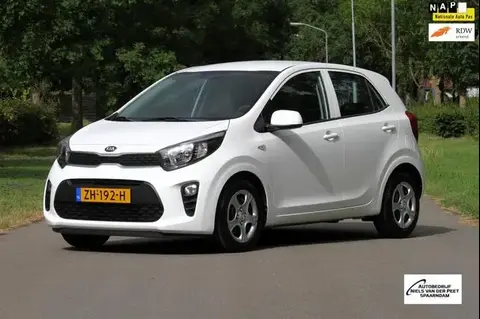 Used KIA PICANTO Petrol 2019 Ad 