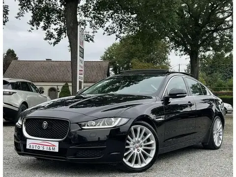 Used JAGUAR XE Diesel 2016 Ad 