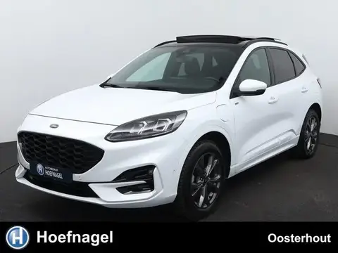 Used FORD KUGA Hybrid 2022 Ad 