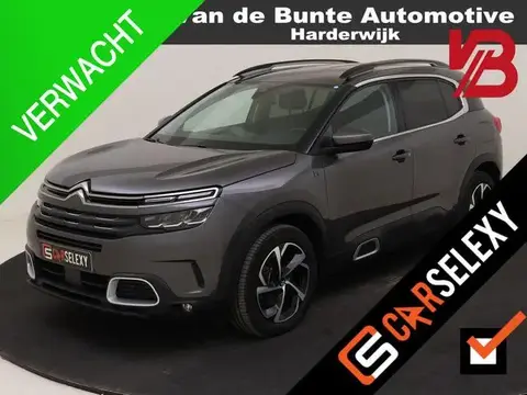 Annonce CITROEN C5 Hybride 2022 d'occasion 