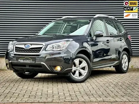 Used SUBARU FORESTER Petrol 2015 Ad 