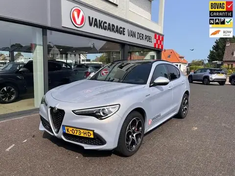 Used ALFA ROMEO STELVIO Petrol 2021 Ad 