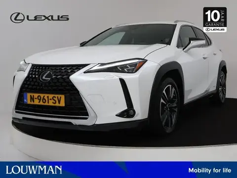 Used LEXUS UX Hybrid 2020 Ad 