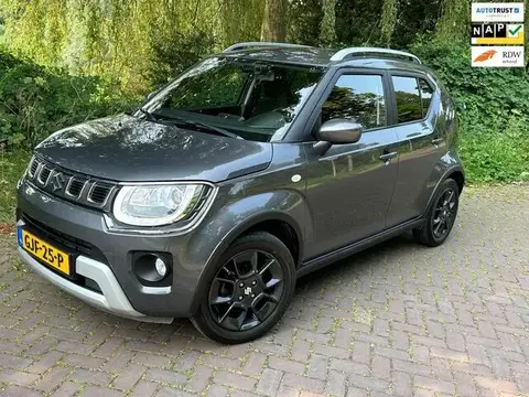 Used SUZUKI IGNIS Hybrid 2023 Ad 