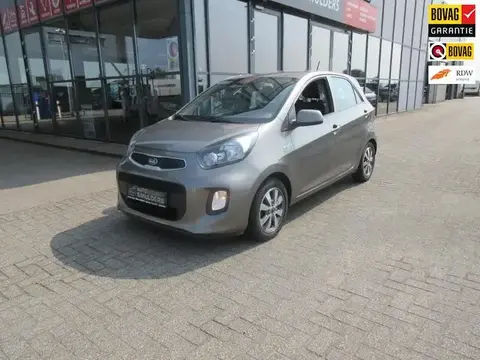 Used KIA PICANTO Petrol 2016 Ad 