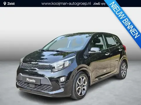 Used KIA PICANTO Petrol 2023 Ad 