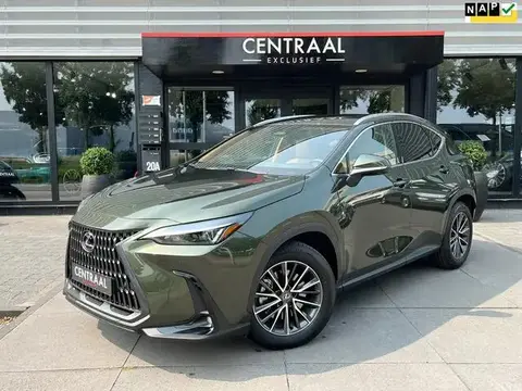 Annonce LEXUS NX Hybride 2023 d'occasion 