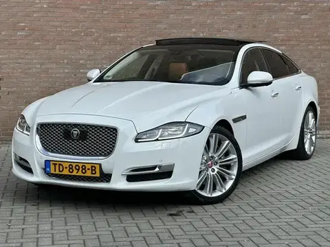 Used JAGUAR XJ Diesel 2018 Ad 