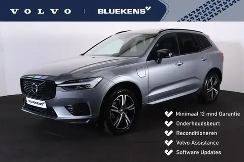 Used VOLVO XC60 Hybrid 2021 Ad 