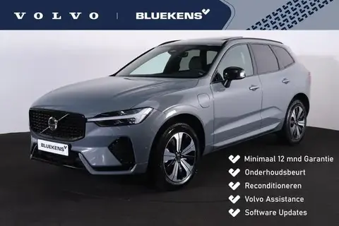 Annonce VOLVO XC60 Hybride 2024 d'occasion 