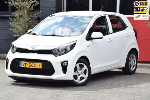 Used KIA PICANTO Petrol 2019 Ad 