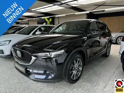 Used MAZDA CX-5 Petrol 2020 Ad 