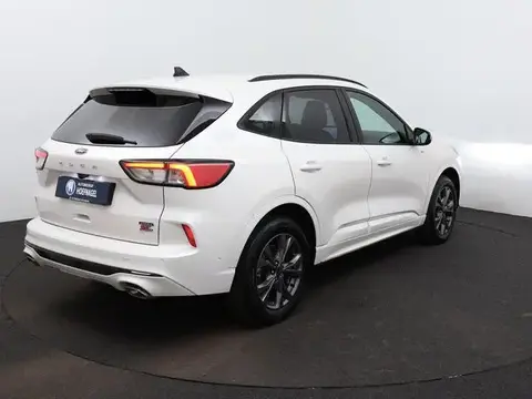 Used FORD KUGA Hybrid 2022 Ad 