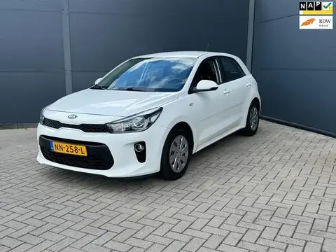 Used KIA RIO Petrol 2017 Ad 