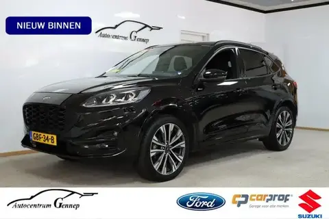 Used FORD KUGA Hybrid 2023 Ad 