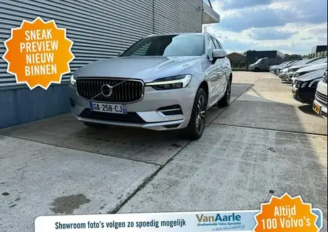 Used VOLVO XC60 Hybrid 2021 Ad 