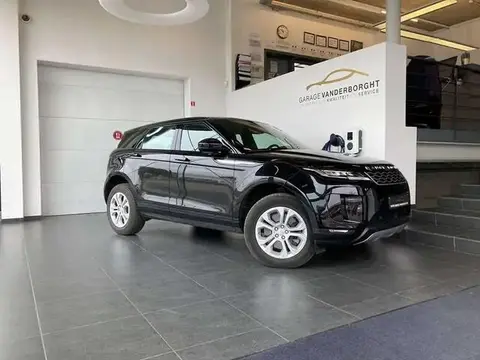 Used LAND ROVER RANGE ROVER EVOQUE Not specified 2019 Ad 