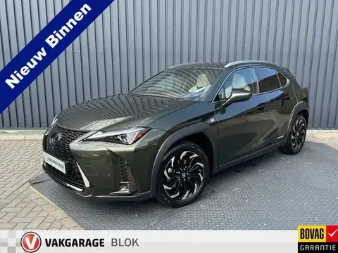 Used LEXUS UX Hybrid 2021 Ad 