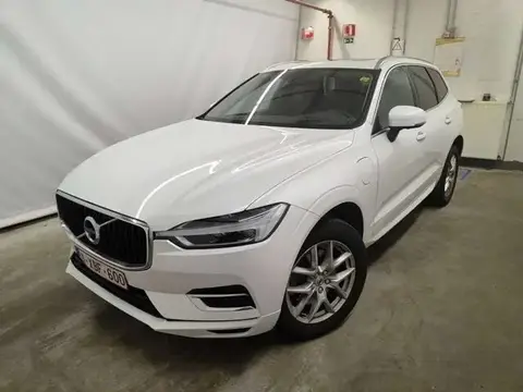 Used VOLVO XC60 Petrol 2019 Ad 