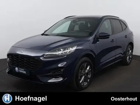 Annonce FORD KUGA Hybride 2023 d'occasion 