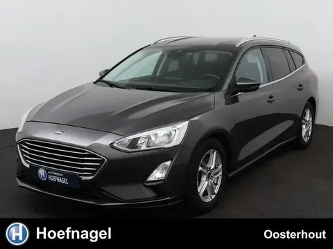 Used FORD FOCUS Petrol 2019 Ad 