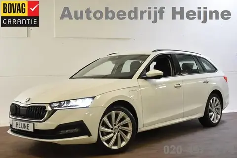 Annonce SKODA OCTAVIA Hybride 2021 d'occasion 