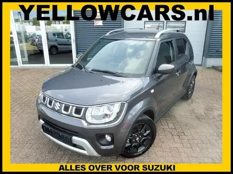 Used SUZUKI IGNIS Petrol 2024 Ad 