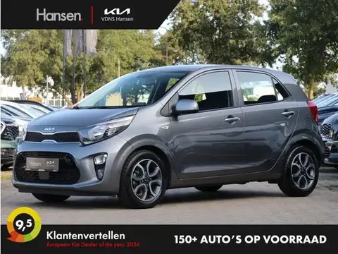 Used KIA PICANTO Petrol 2022 Ad 