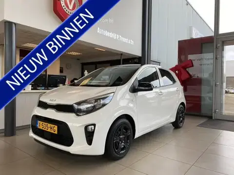 Used KIA PICANTO Petrol 2023 Ad 