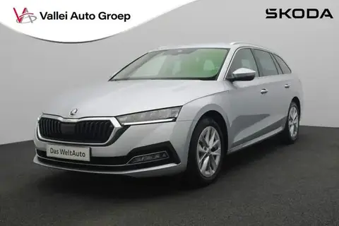 Used SKODA OCTAVIA Petrol 2023 Ad 