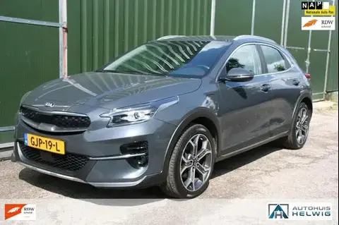 Annonce KIA XCEED Hybride 2021 d'occasion 