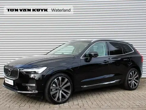 Annonce VOLVO XC60 Hybride 2024 d'occasion 