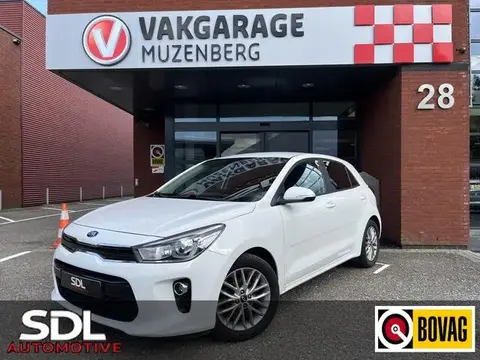 Used KIA RIO Petrol 2020 Ad 