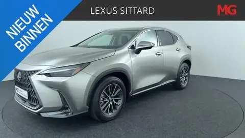 Used LEXUS NX Hybrid 2024 Ad 