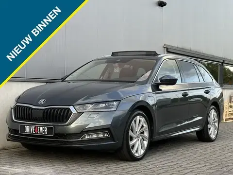 Used SKODA OCTAVIA Hybrid 2021 Ad 