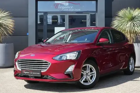 Used FORD FOCUS Petrol 2019 Ad 